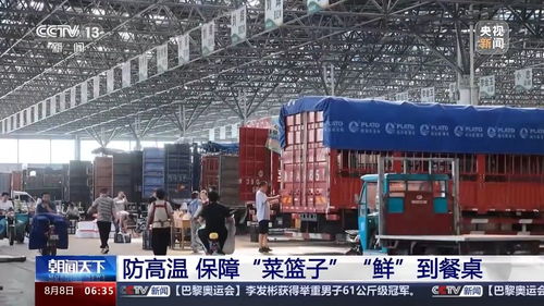 生產(chǎn)穩(wěn)定供給充足 看各地如何拎穩(wěn)菜籃子與畜牧漁業(yè)飼料銷售